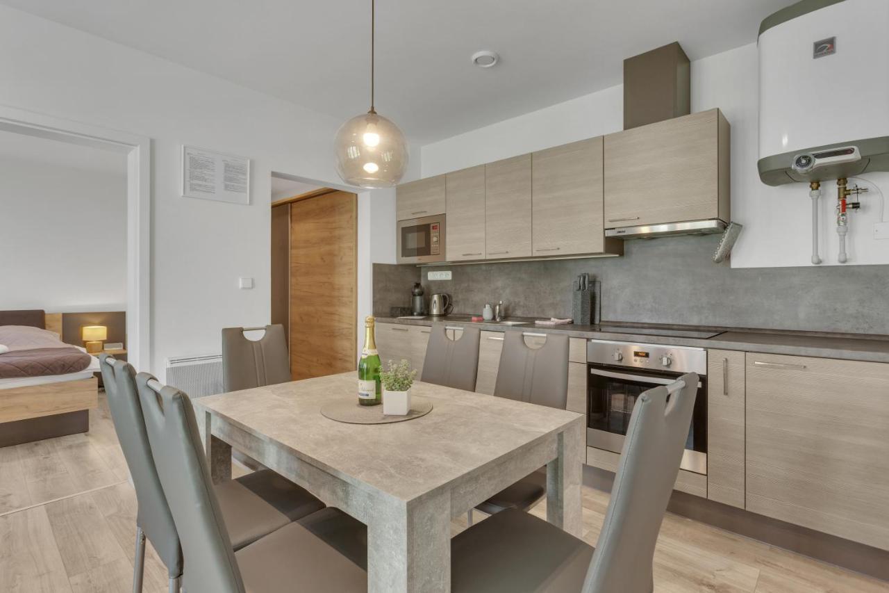 Family Apartments Klinovec Loučná pod Klínovcem Extérieur photo